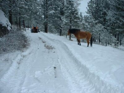 Living Off Grid – How We Survive a Long Winter Image